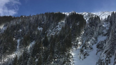 peisaj-munte-salvamont-bran