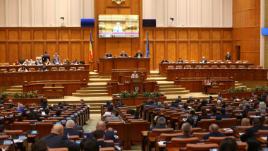 vot-coduri-penale-parlament-inquamphotos-george-calin (3)