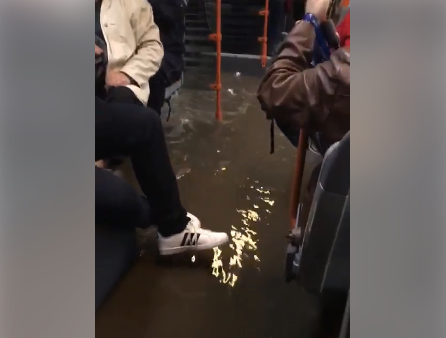 VIDEO. Autobuz STB inundat: „Puteti inota”