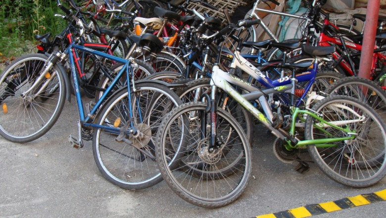biciclete crop