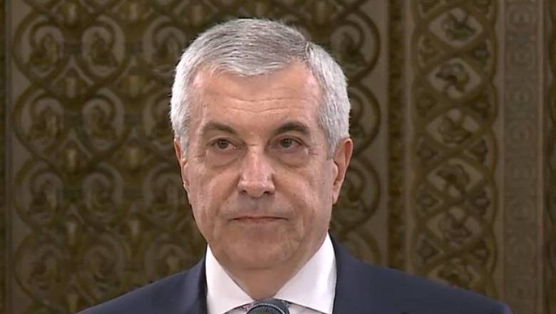 referendum tariceanu