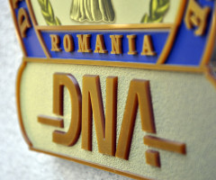 Reacția DNA după raportul MCV, care notează o scădere a luptei anticorupție