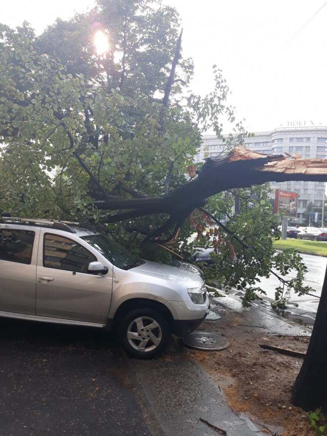 copac cazut pe masina Marriott 210619