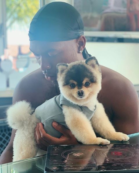 Fotbalistul Daniel Sturridge, condamnat să-i plătească 30.000 de dolari unui rapper care i-a găsit câinele furat de hoți