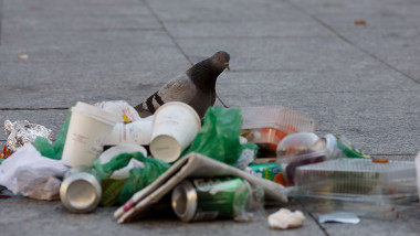 Garbage Strike Begins To Bite In Madrid