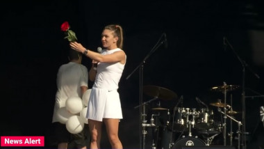 simona halep constanta