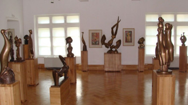 muzeu de arta ion irimescu
