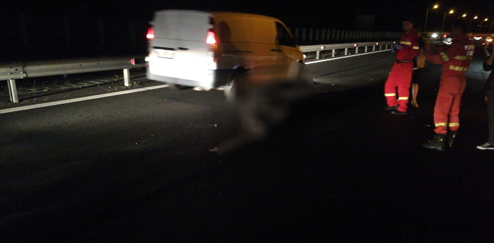 Un urs a murit dupa ce fost lovit de patru masini pe autostrada Sibiu-Deva