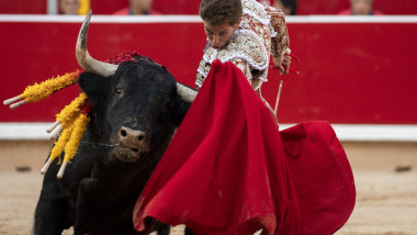 Day 2 - San Fermin Running of the Bulls 2019