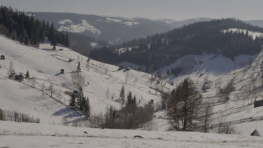 bucovina