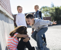 Legea care interzice bullying-ul în şcoli a intrat în vigoare