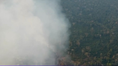 incendii amazonia
