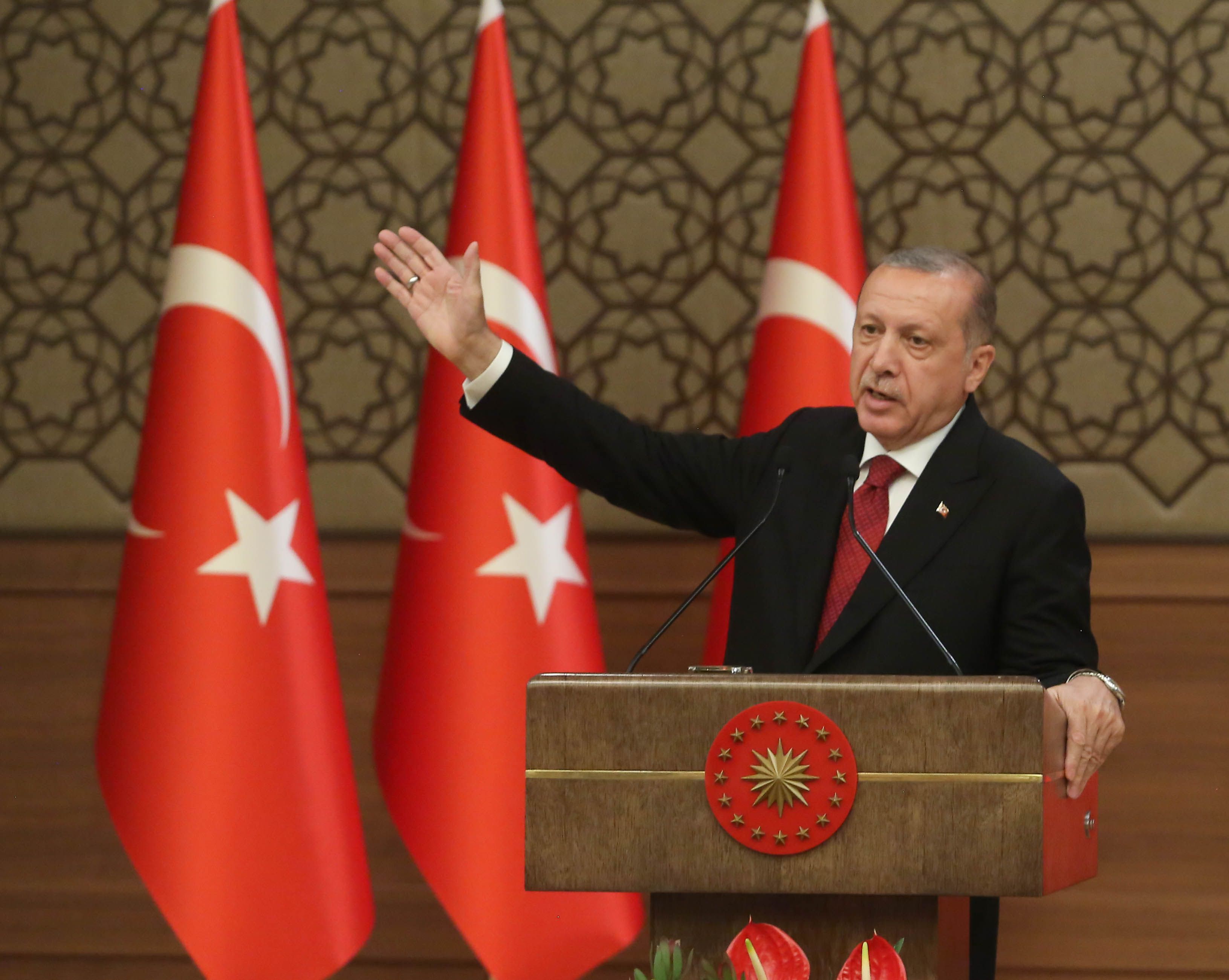 Erdogan ameninţă că va expulza ambasadorii a zece ţări care au îndemnat la eliberarea unui opozant: "Îi daţi cumva o lecţie Turciei?"