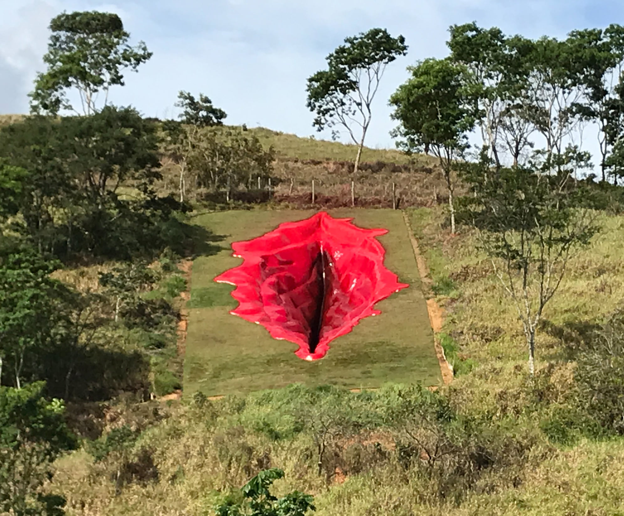 Un vagin uriaș sculptat a pornit un război cultural în Brazilia