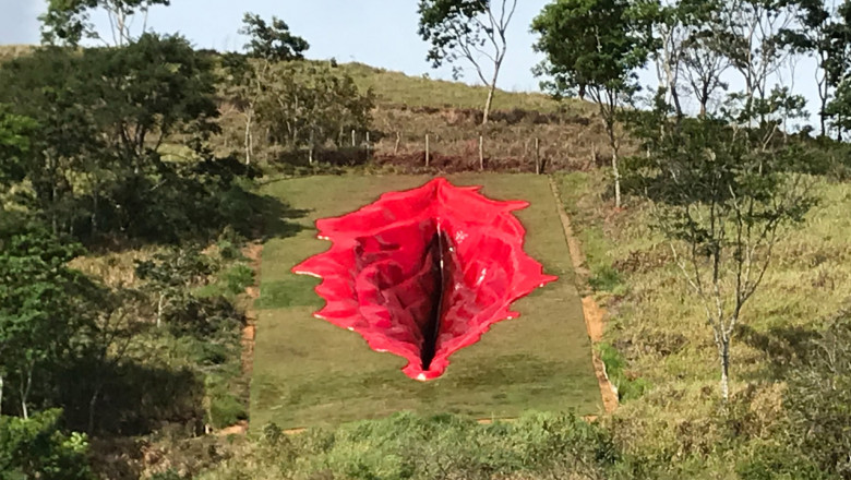 Sculptură vagin pe un deal din Brazilia