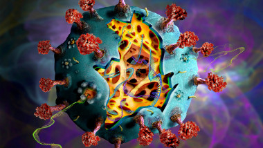 ilustratie cu o celula atacată de coroanvirus