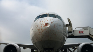 avion boeing 777-200 cu botul avariat in urma coliziunii cu un stol de pasari