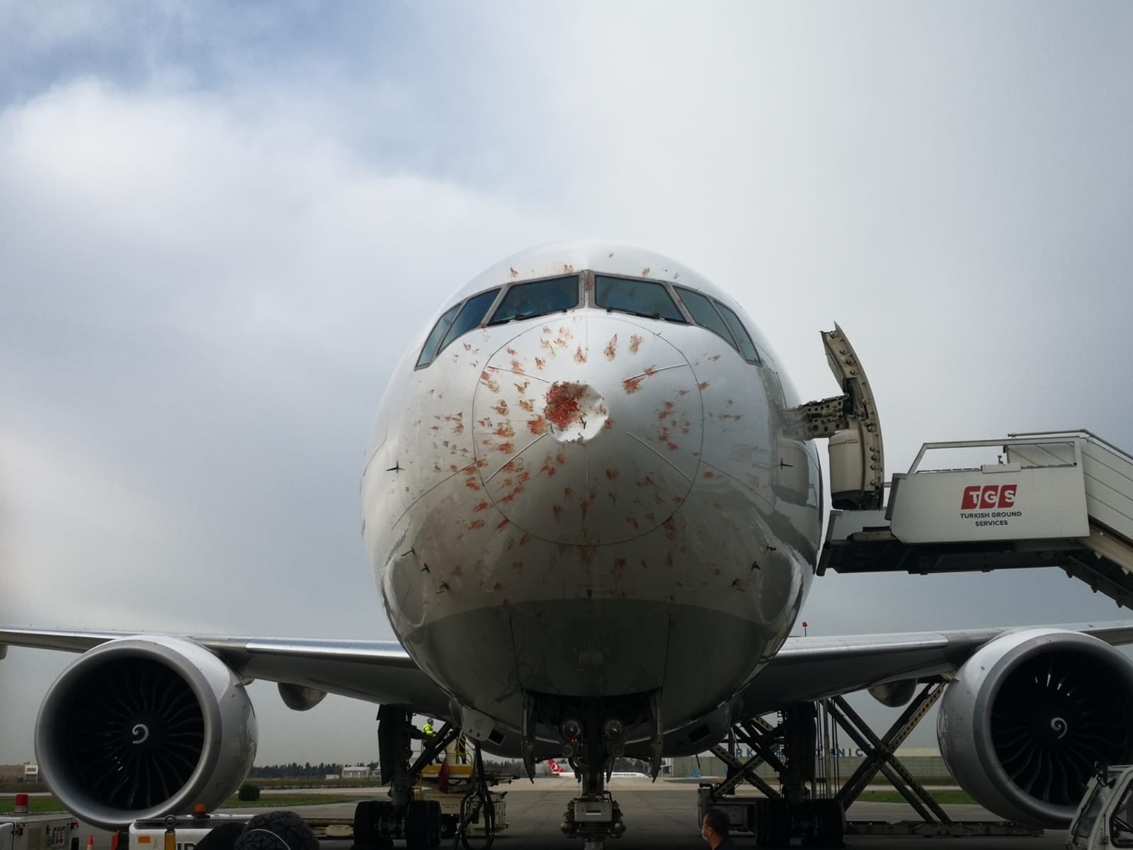 Un stol de păsări a întors din drum un avion uriaș. Cum arată botul aeronavei în urma impactului