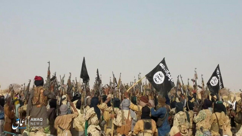 Militanţi jihadişti, luptători ISIS în Niger