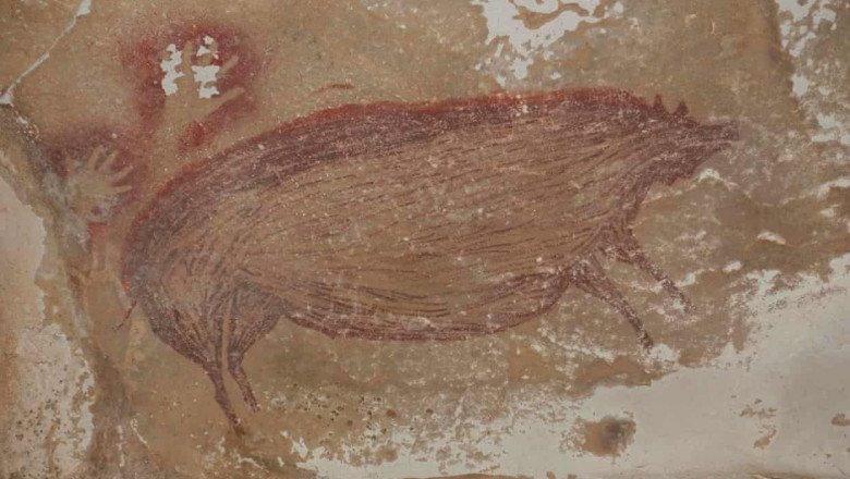 pictura rupestra porc mistret