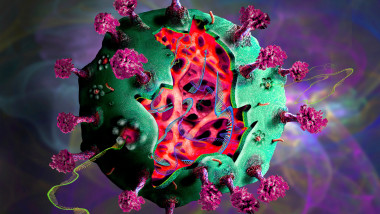 ilustratie a coronavirusului sars-cov2 colorata