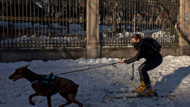 Madrid Digs Out From Exceptional Snowfall