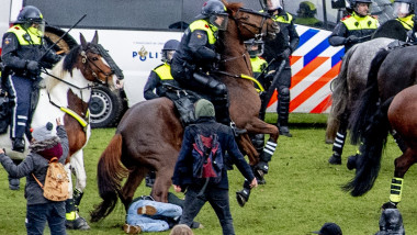 Un protestatar este prins sub picioarele din spate ale unui cal în timpul intervenției poliției călare din Amsterdam