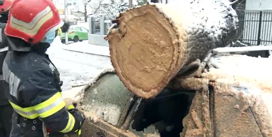 Mașini făcute praf de copacii căzuți din cauza vremii nefavorabile din București