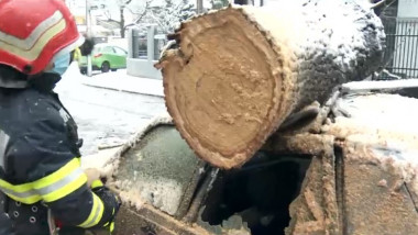 Un copac a căzut peste o mașină în București