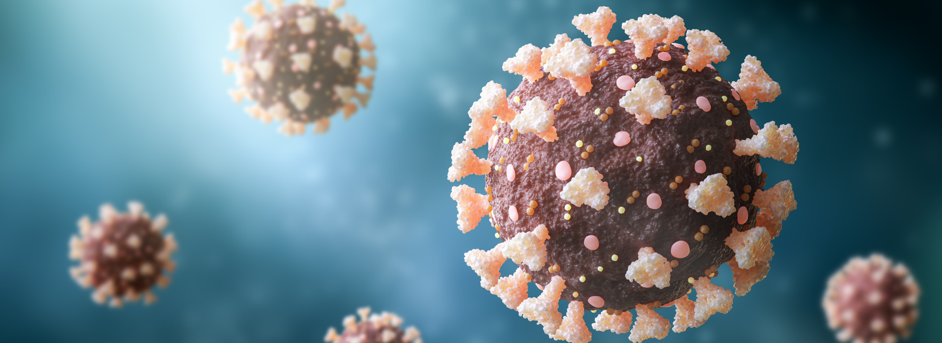 coronavirus covid-19