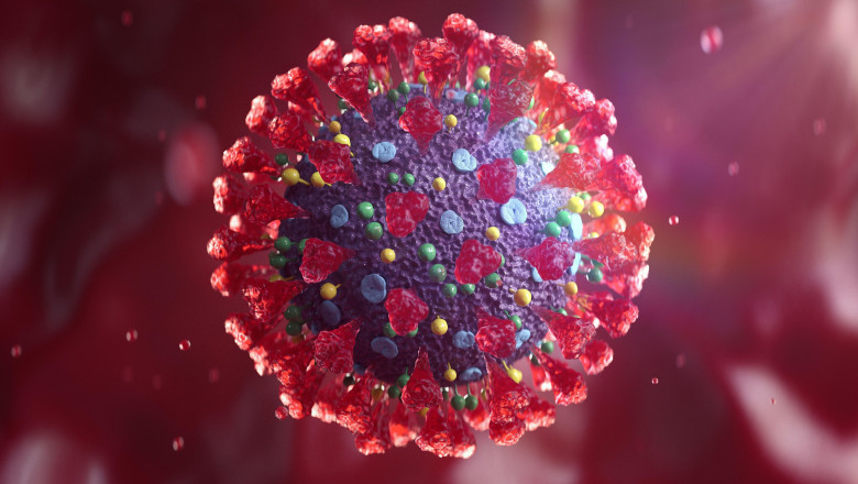 Virusul Sars-Cov2 văzut la microscop