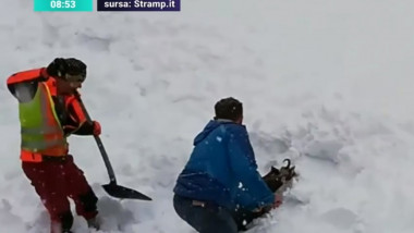 O capră sălbatică îngropată în zăpadă a fost salvată de lucrătorii feroviari din Austria