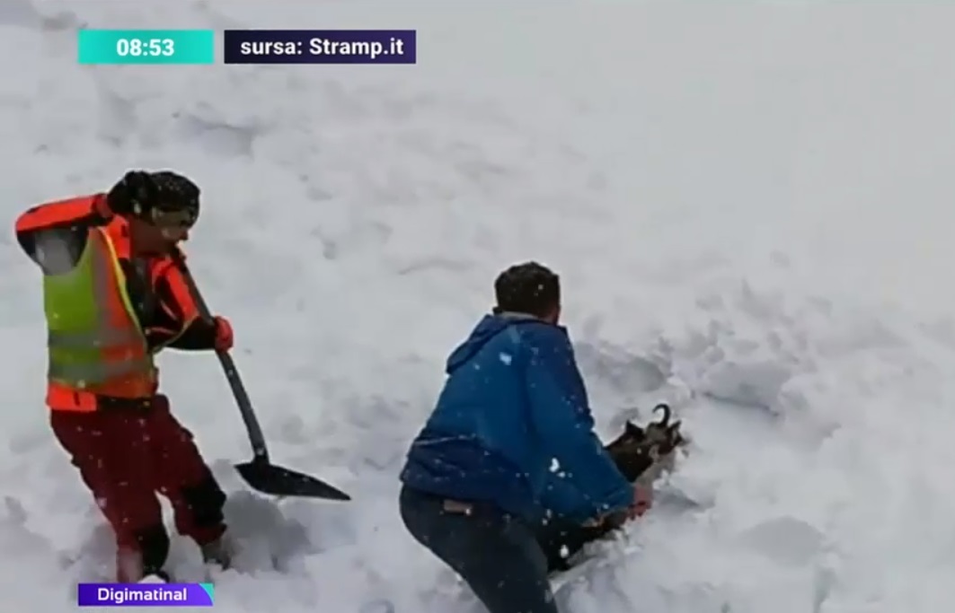 Video viral. O capră sălbatică îngropată în zăpadă a fost salvată de lucrătorii feroviari din Austria