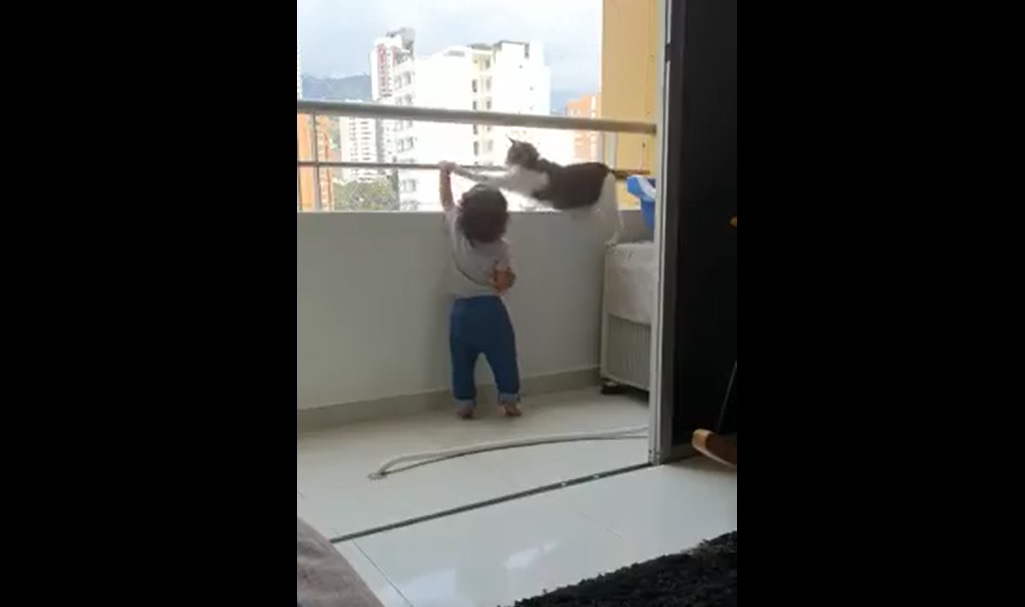 Video viral. O pisica indeparteaza un bebelus de balustrada unui balcon