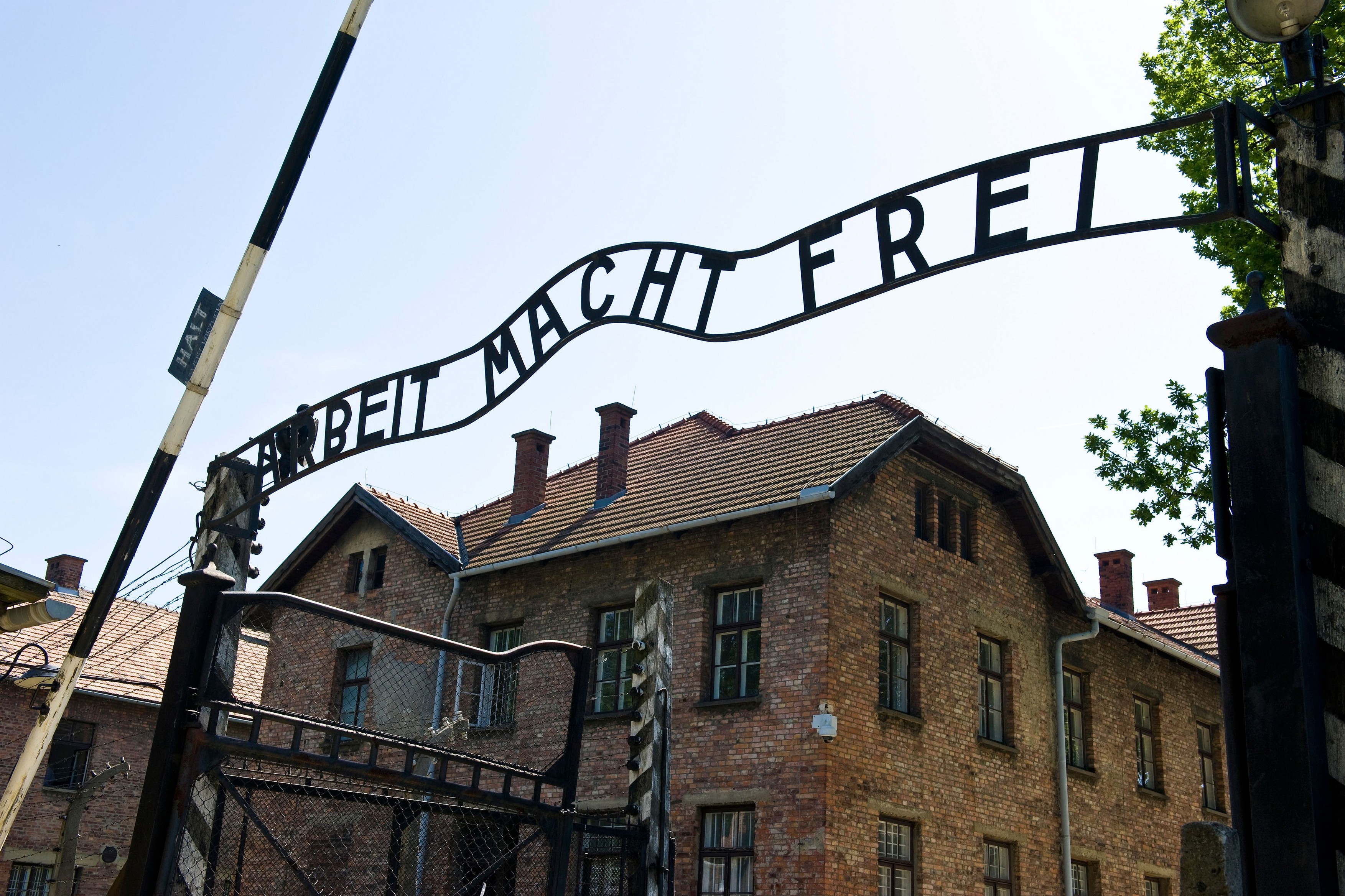 Aproximativ 900 de supravietuitori ai Holocaustului au murit in 2020 de COVID-19, in Israel