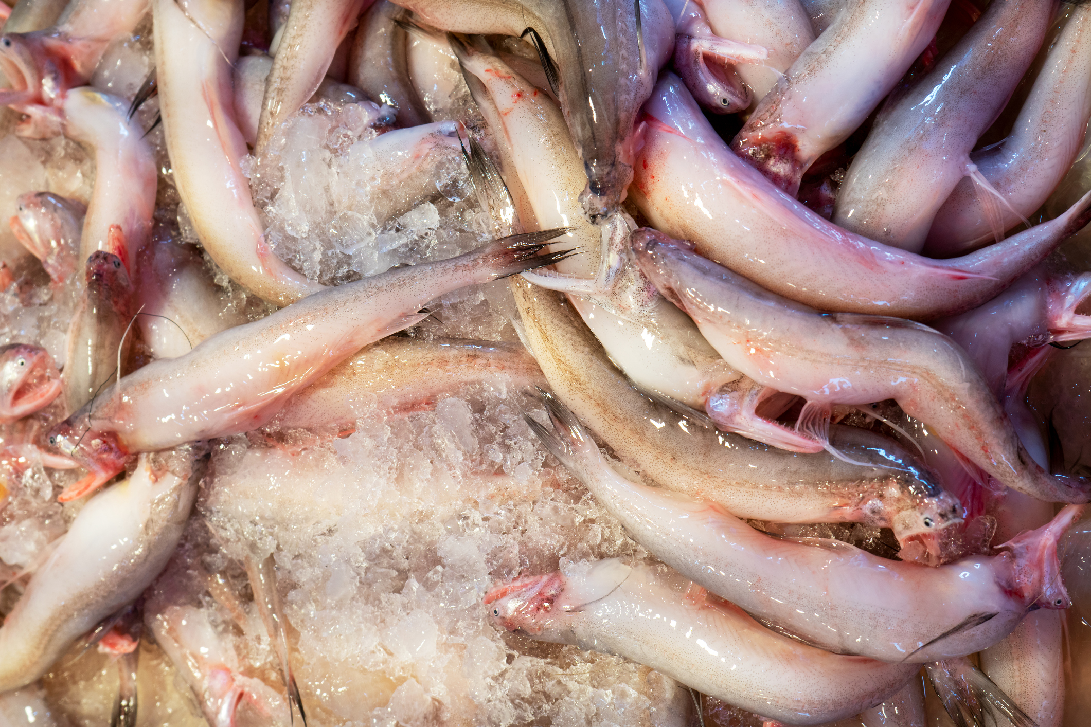 China continuă să susțină că virusul se transmite prin alimente congelate și a blocat sute de containere cu pește într-un port