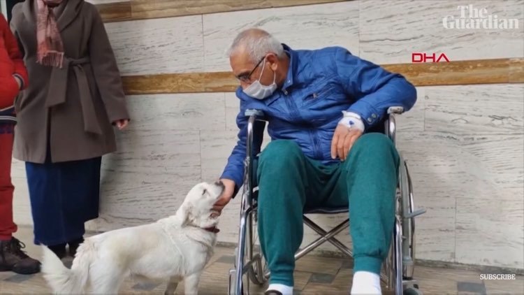 O cățelușă a așteptat zile întregi în fața unui spital în care stăpânul său era internat