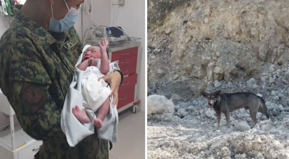 Bebeluș abandonat într-un depozit de deșeuri, salvat de un câine. Patrupedul „a cerut” ajutorul unui motociclist