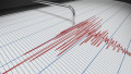 Seismograf care înregistrează un cutremur