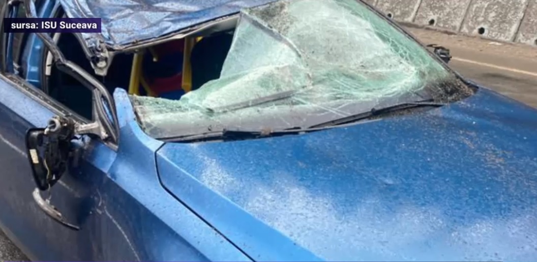 Cazul femeii ucise de copacul căzut. Cine este vinovat pentru accident?