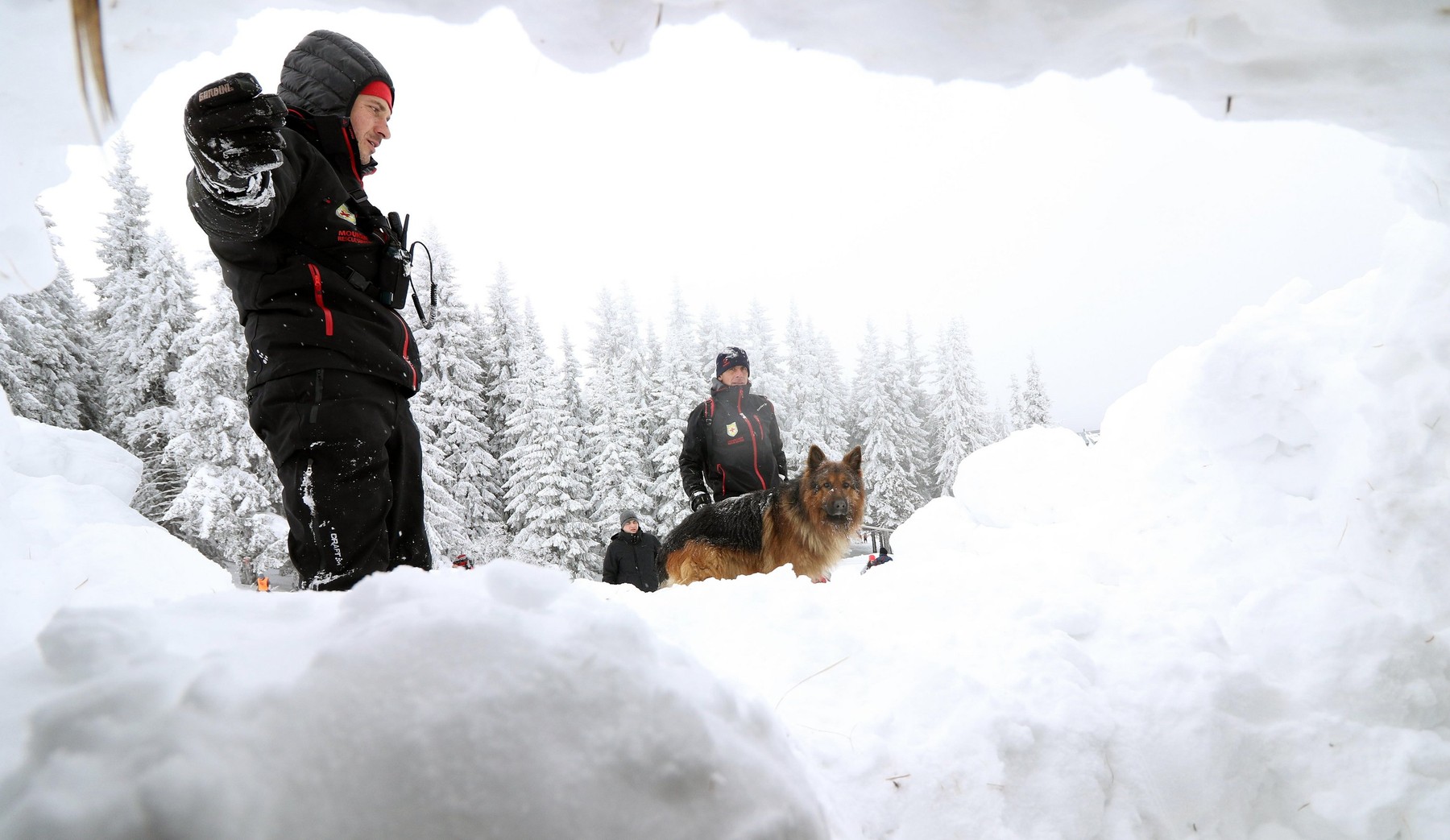 Doi tineri îngropați de avalanșă în Elveția au fost găsiți în viață, după ce câinii lor au lătrat fără oprire