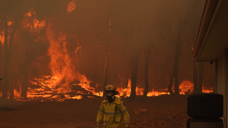 Incendii de vegetație în Australia, pompier cu flacari in spate