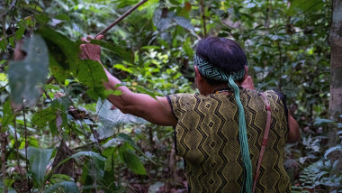 Bărbat în pădurea amazoniană din Brazilia