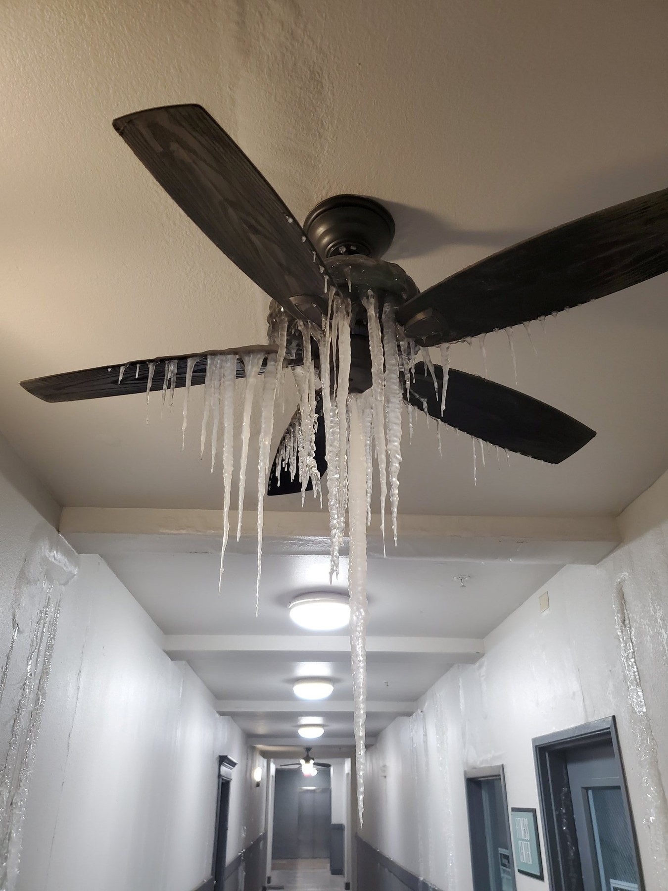 Facturi de mii de dolari la energie electrică în Texas, în ciuda căderilor de curent. Cum explică furnizorul de electricitate
