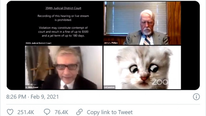 avocat pledeaza pe zoom cu un filtru care il transforma in pisica