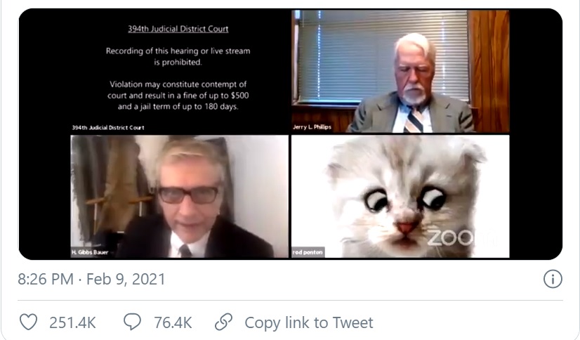 Video viral. Un avocat a pledat într-un proces pe Zoom cu un filtru care îl transformă în felină. „Nu sunt o pisică”