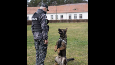 caine antrenat de un politist in uniforma
