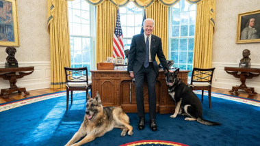 Joe Biden s-a fotografiat cu cei doi câini ai săi în Biroul Oval.