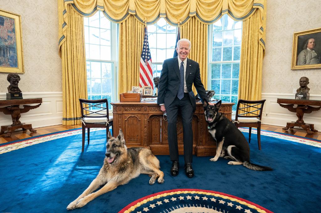 Foto: „Primii câini” ai SUA. Joe Biden și-a adus animalele de companie în Biroul Oval
