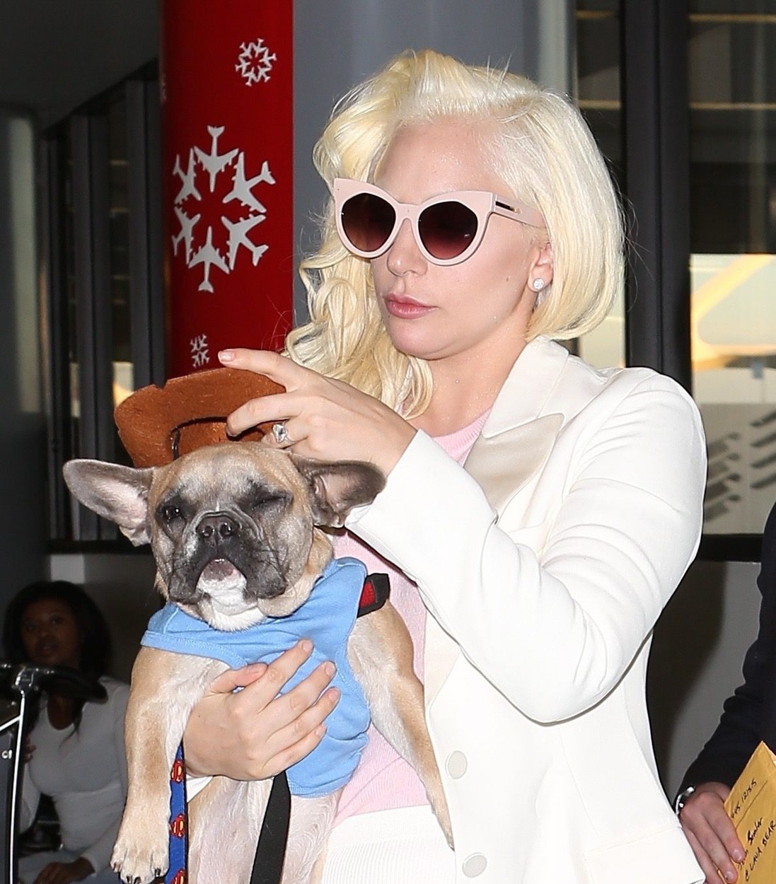 Câinii lui Lady Gaga au fost găsiți. Cine ar putea primi recompensa de 500.000 de dolari